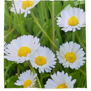 Rideaux De Douche Fleurs de jardin sauvage Roumanie – Photographie d