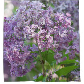 Rideaux De Douche Fleurs lilas (Devant)
