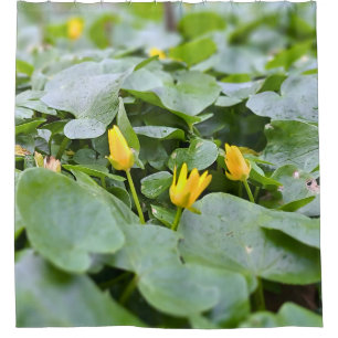 Rideaux De Douche Fleurs sauvages de la forêt – Photographie botaniq