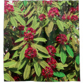 Rideaux De Douche Floraison de rhododendron (Devant)
