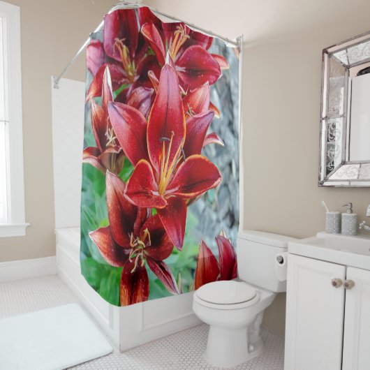 Rideaux De Douche Floral Red Stargazer Lily Photographie (En situation)