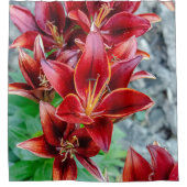 Rideaux De Douche Floral Red Stargazer Lily Photographie (Devant)