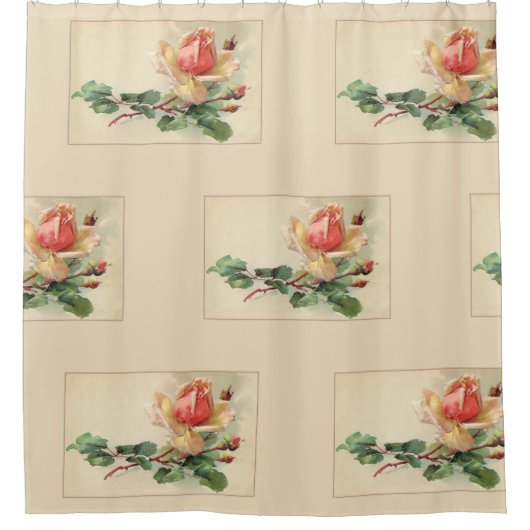 Rideaux De Douche Floral victorien Pastel Peach Roses (Devant)