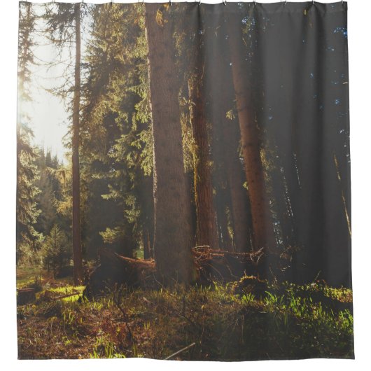 Rideaux De Douche Forêt (Devant)