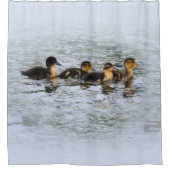 RIDEAUX DE DOUCHE FOUR DUCKLETS SWIMMING (Devant)