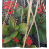 Rideaux De Douche Garden Breeze (Devant)