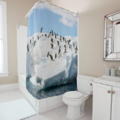 Rideaux De Douche Gentoo Penguin Antarctica Iceberg Playtime (En situation)
