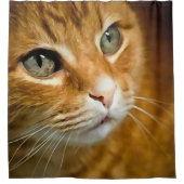 Rideaux De Douche Gingembre adorable Tabby Chat Poster Portrait anim (Devant)