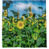 Rideaux De Douche Gisement de tournesol (Devant)