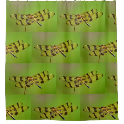 Rideaux De Douche Golden Dragonfly (Devant)