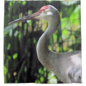 Rideaux De Douche Graine de Sandhill (Devant)