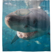 Rideaux De Douche Grand requin blanc sous l'eau gros portrait (Devant)
