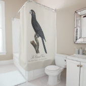 Rideaux De Douche Grand Vasa, Coracopsis Vasa Illustration (En situation)