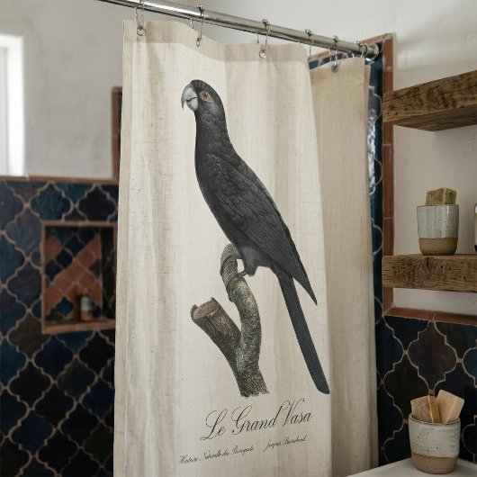 Rideaux De Douche Grand Vasa, Coracopsis Vasa Illustration
