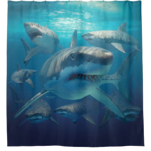 Rideaux De Douche Grands requins blancs (Devant)