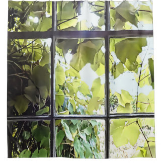 Rideaux De Douche Grapevines Seen Through Window