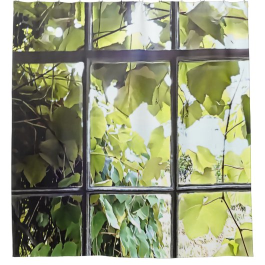 Rideaux De Douche Grapevines Seen Through Window (Devant)