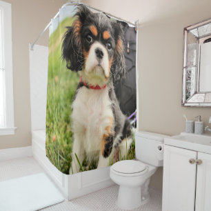 Rideaux De Douche Grave