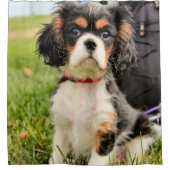 Rideaux De Douche Grave (Devant)