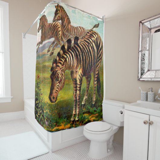 Rideaux De Douche gravure zèbre vers 1900 (En situation)