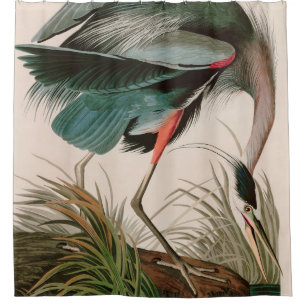 Rideaux De Douche Great Blue Heron Birds of America Audubon Imprimer