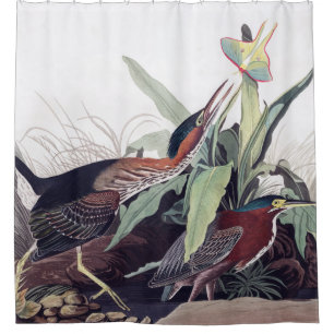 Rideaux De Douche Green Heron par Audubon Vintage Bird Art Wildlife