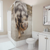 Rideaux De Douche Gros porc (En situation)