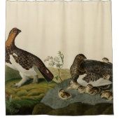 Rideaux De Douche Grous de saule (Grouse) - Oiseaux d'Amérique d'Aud (Devant)
