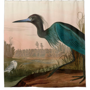 Rideaux De Douche Grue bleue ou Heron Birds of America Audubon Impri