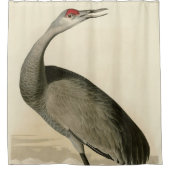 Rideaux De Douche Grue de Sandhill d'Audubon's Birds of America (Devant)