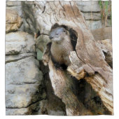 Rideaux De Douche Harry Otter (Devant)