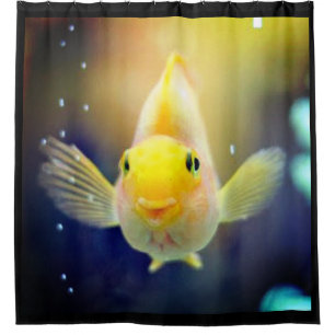RIDEAUX DE DOUCHE HELLO GROG FISHY