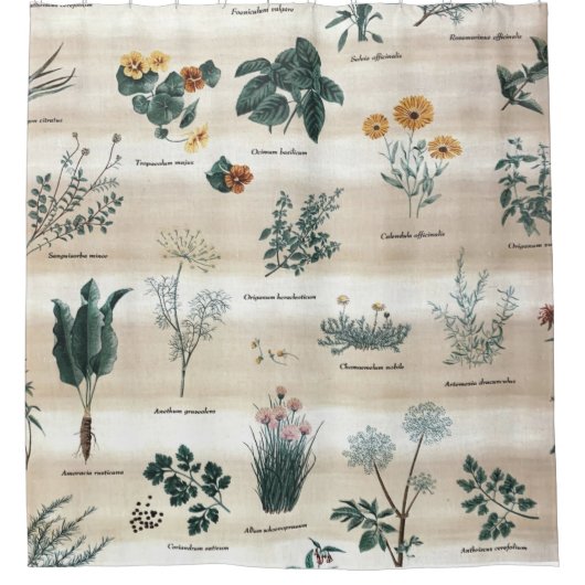 Rideaux De Douche Herbes Fleurs Plantes (Devant)