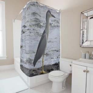Rideaux De Douche Héron de nuit à la couronne noire