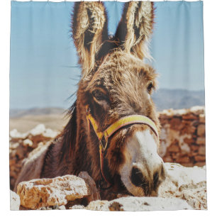 RIDEAUX DE DOUCHE HI DONKEY