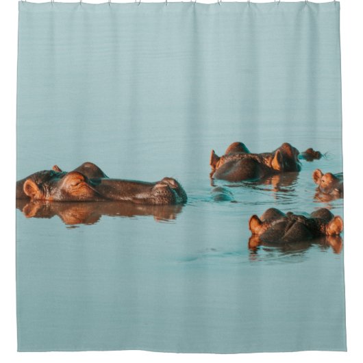 RIDEAUX DE DOUCHE HIPPOS REFROIDISSANT DANS LE BARRAGE (Devant)