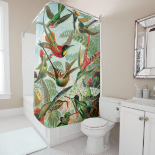 Rideaux De Douche Hummingbirds par Ernst Haeckel