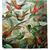 Rideaux De Douche Hummingbirds par Ernst Haeckel (Devant)