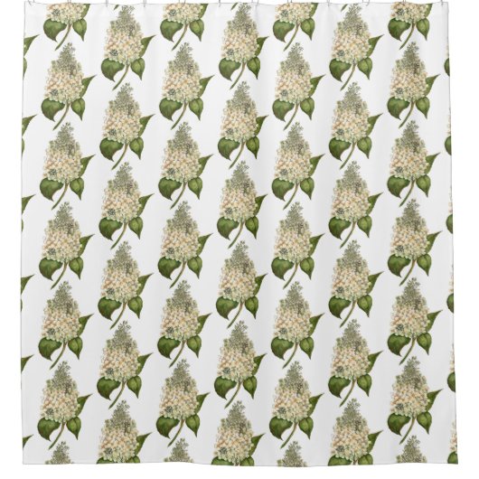 Rideaux De Douche Hydrangée blanche (Devant)