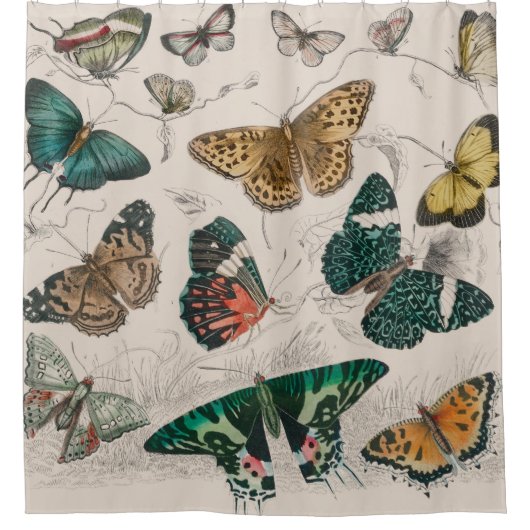 Rideaux De Douche Illustration de papillon antique : 1820 Orfèvre (Devant)