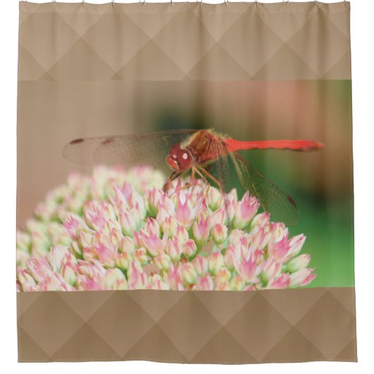 Rideaux De Douche Image Dragonfly rouge (Devant)