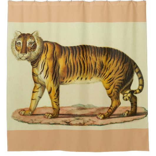 Rideaux De Douche Impression tigre 1824 (Devant)