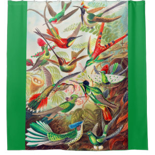 Rideaux De Douche Imprimerie de colibris 1904