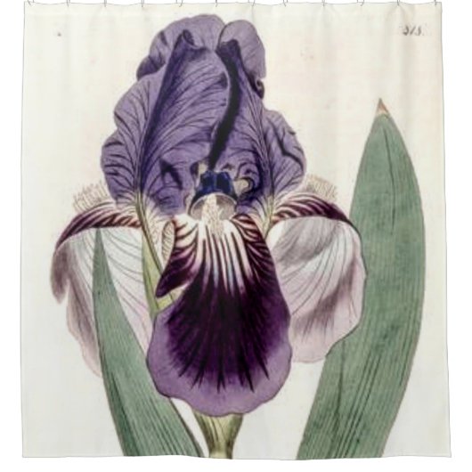 Rideaux De Douche Iris pourpre (Devant)