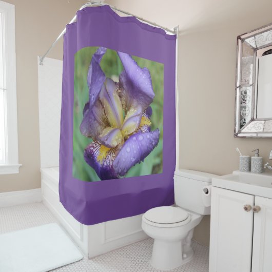 Rideaux De Douche Iris Pourpre (Iris Germanica) (En situation)