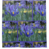 Rideaux De Douche Iris Violet Fleur Élégante de Printemps (Devant)