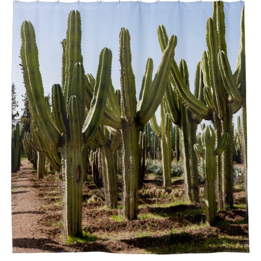 Rideaux De Douche Jardin de cactus, paysage désertique tropical. (Devant)