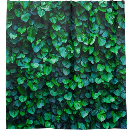 Rideaux De Douche Jardin intérieur de la jungle urbaine (Devant)