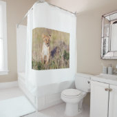 Rideaux De Douche Jeune lion (En situation)