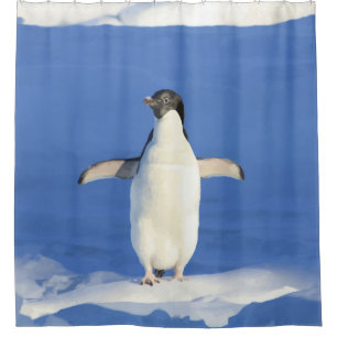Rideaux De Douche Joli Petit Penguin Oiseau Bleu Ice